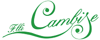 Cambise